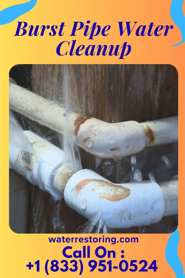 Burst Pipe Water Cleanup in Utica, IN