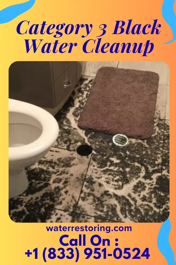 Category 3 Black Water Cleanup in Utica, IN